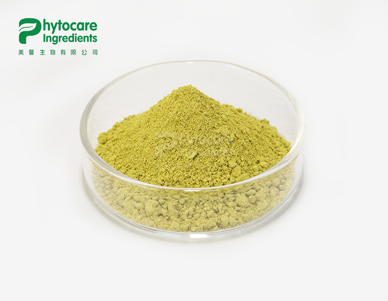 Sophorae Japonica Extract